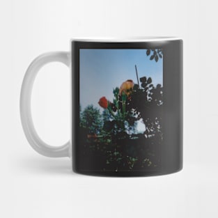 garden instax Mug